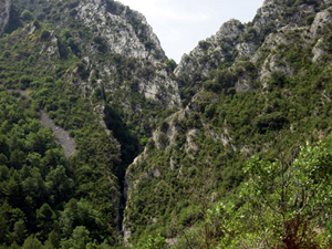 Barranco de Moliniello de Rasal